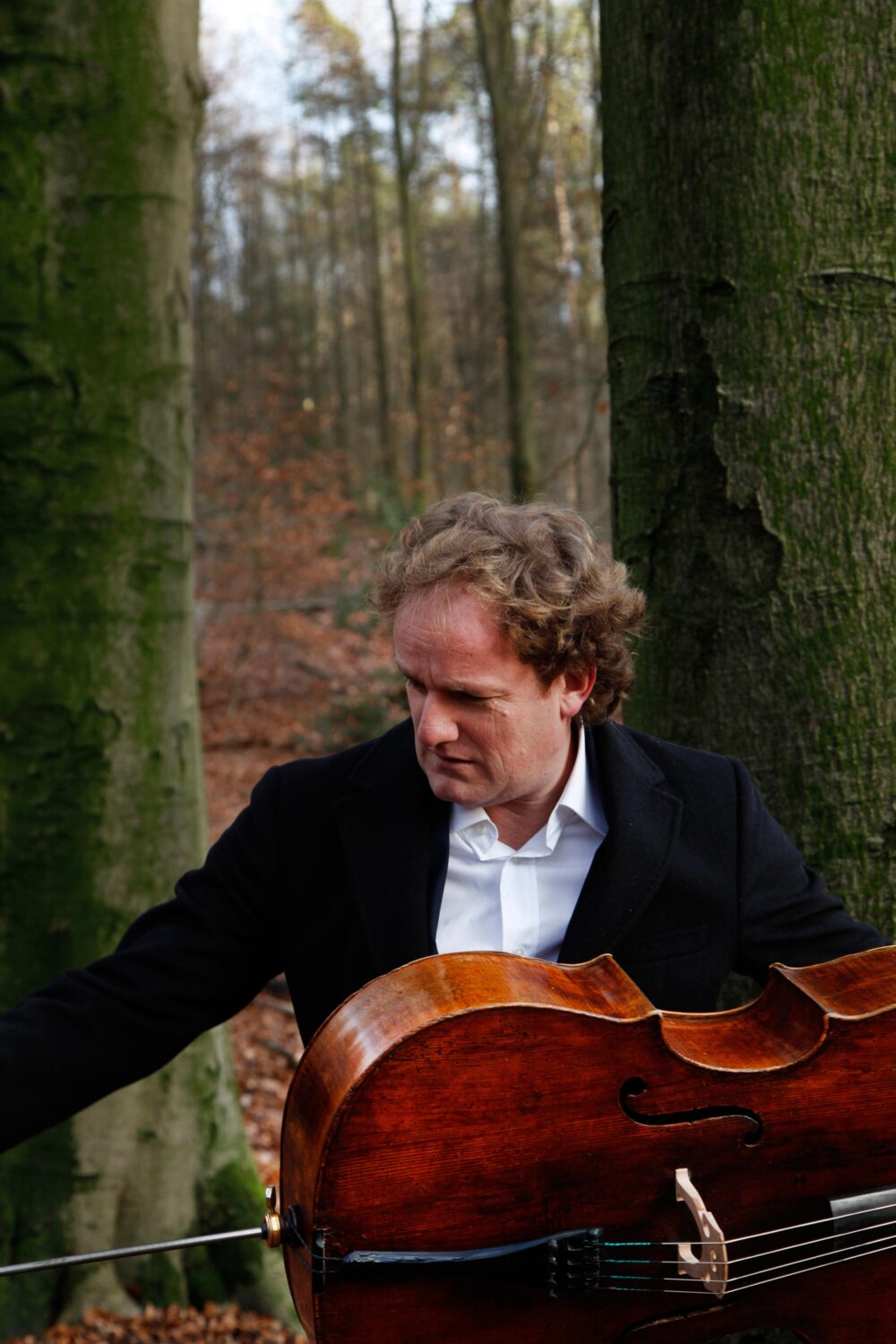Floris Mijnders, Cellist